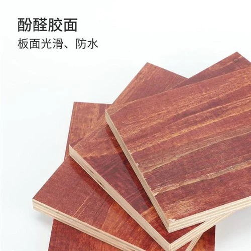 12mm Tuntum Film Anim Plywood